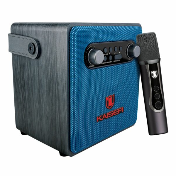 Mini Karaoke 4" de 2900 WPMPO con micófono inalambrico