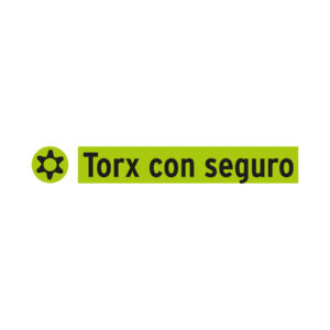 Juego de puntas Torx con seguro, 2