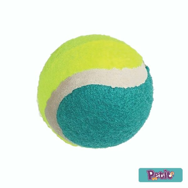 Pelota de Tenis para Mascotas