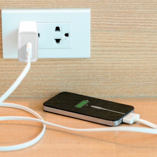 Cargador USB Carga Ultra Rapida 3.1A de 20w Blanco