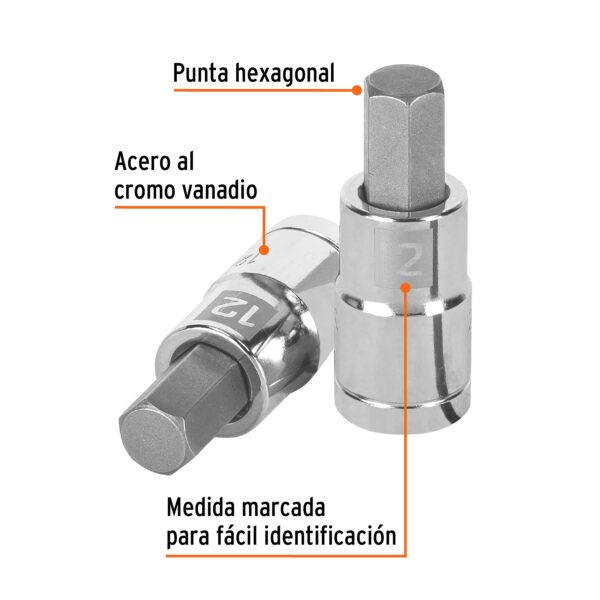 Dados de punta hexagonal cuadro 1/2" de 12mm