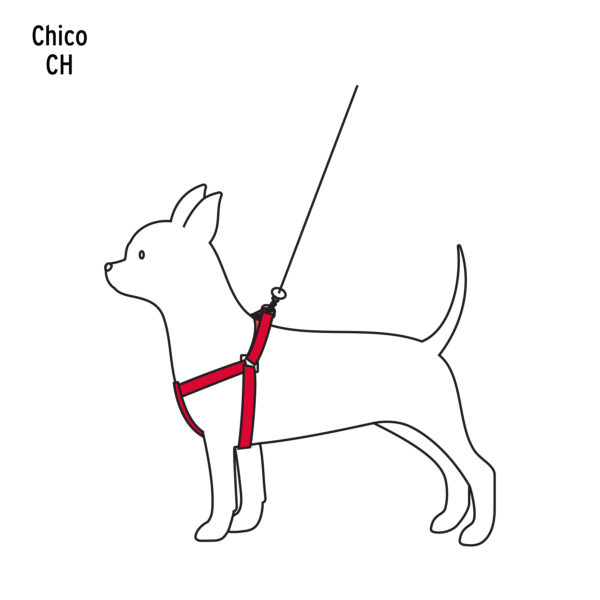 Correa para perro chico con pechera de 1cm ancho