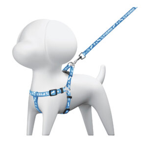 Correa para perro mediana con pechera de 1.5cm ancho