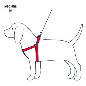 Correa para perro mediana con pechera de 1.5cm ancho