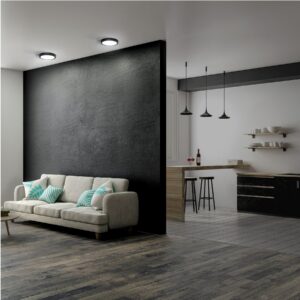 Luminario de LED 6 W redondo tipo plafon luz de dia, negro