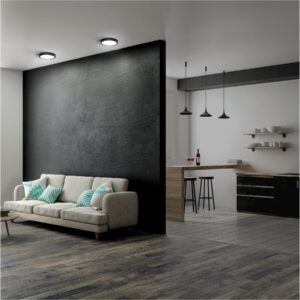 Luminario de LED 18 W redondo tipo plafon luz de dia, negro